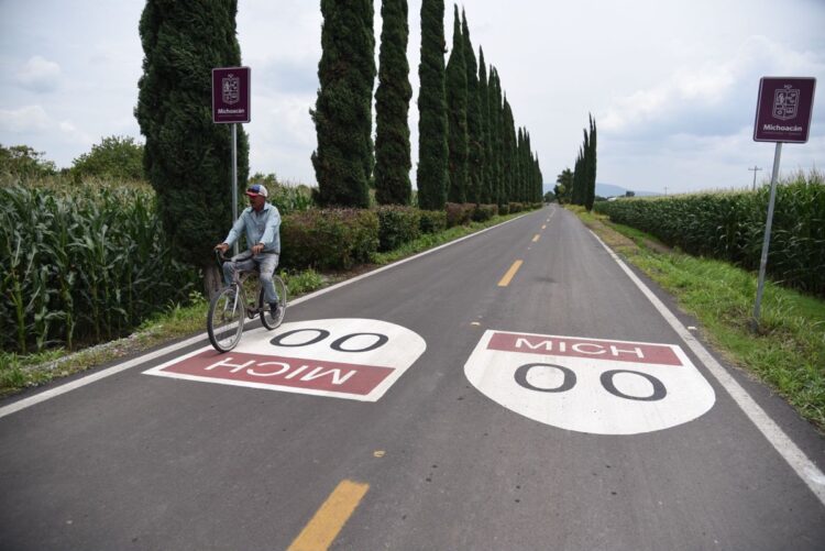 Un hombre en bicicleta recorre una carretera rural rodeada de maizales y cipreses con señales que indican "Michoacán".