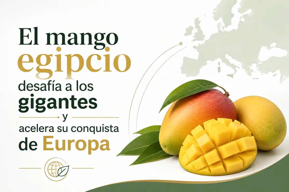 Mango egipcio maduro y cortado en cubos, con fondo de mapa de Europa y texto promocional.