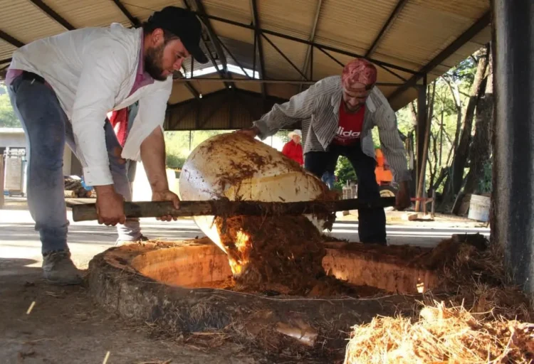 Personas vertiendo maguey en horno tradicional de mezcal en Tumbisca, Michoacán.