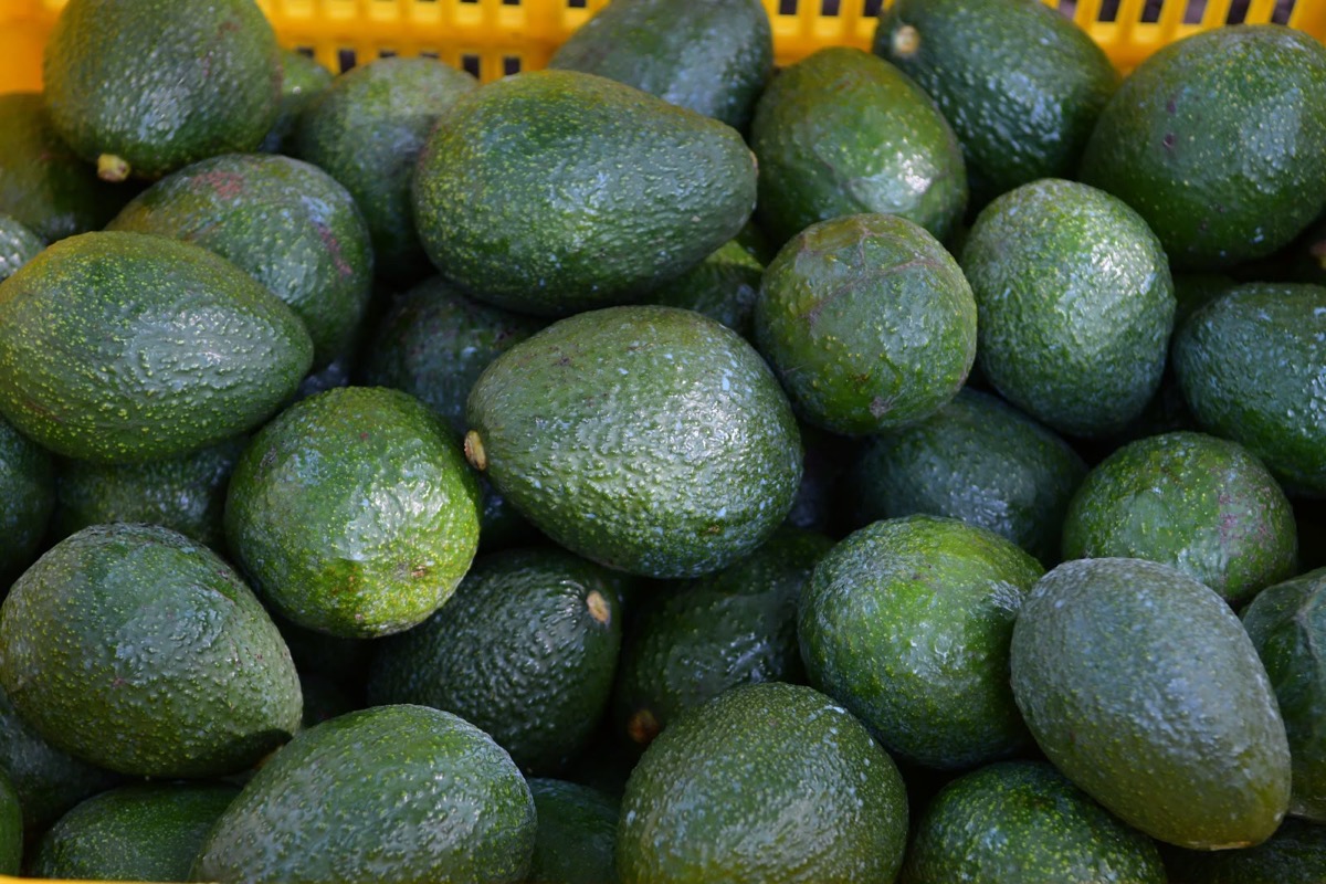 Un montón de aguacates verdes apilados en una canasta amarilla.