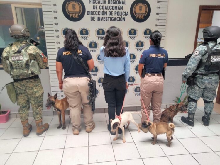 Varias personas uniformadas con perros se encuentran de espaldas frente a un fondo de la Fiscalía Regional de Michoacán.