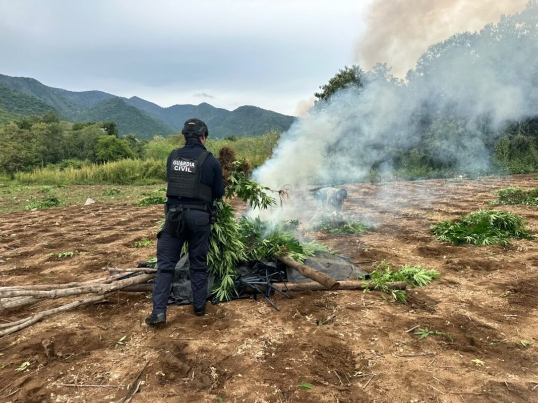 Un agente de la Guardia Civil quema plantas en un campo al aire libre con humo alrededor.