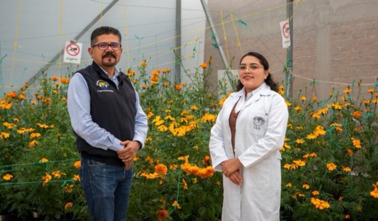 Dos personas posan en un invernadero lleno de flores naranjas, una con bata blanca y otra con chaleco oscuro.