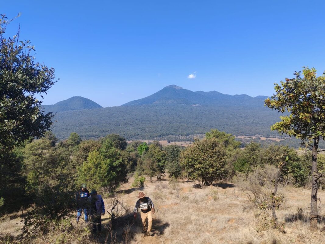 Personas recorren un paisaje montañoso en Michoacán dentro de un área natural protegida