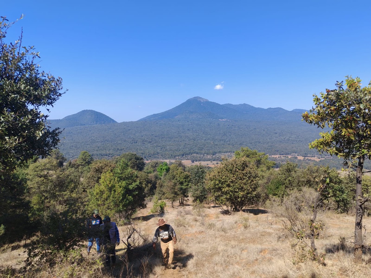 Personas recorren un paisaje montañoso en Michoacán dentro de un área natural protegida
