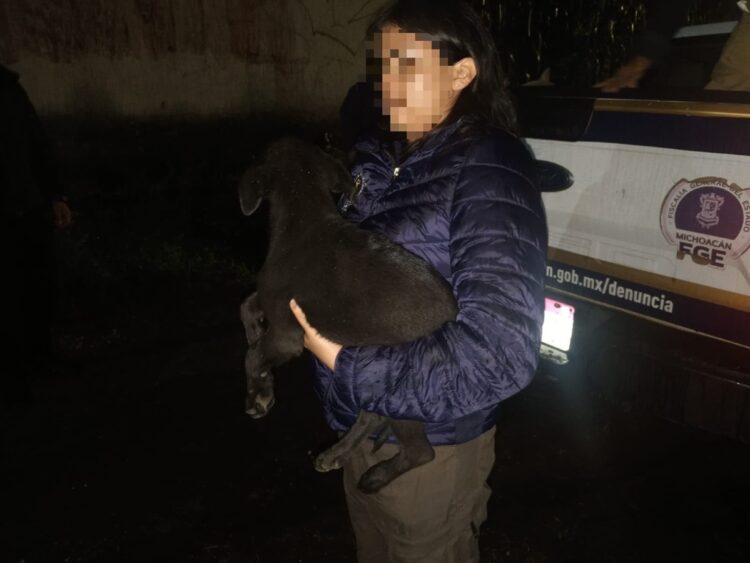 Una persona con chaqueta azul sostiene un perro negro frente a una camioneta de la fiscalía de Michoacán durante la noche.