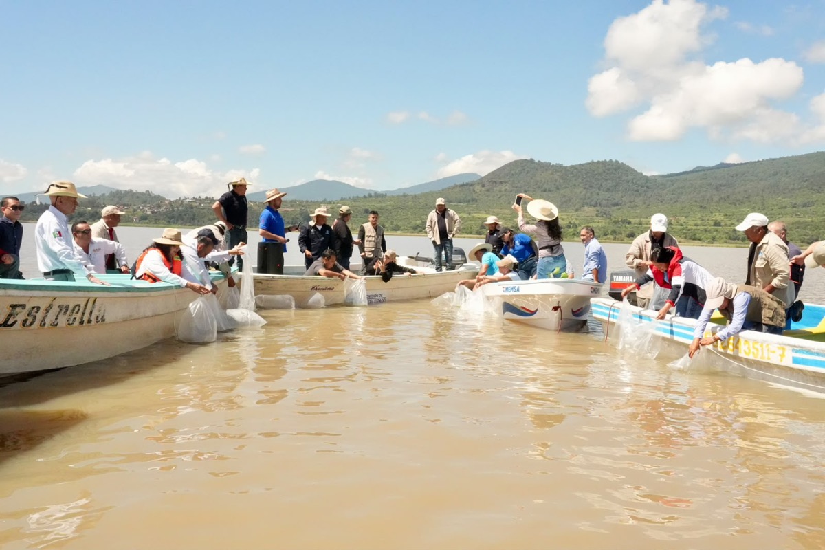 Varias personas en lanchas liberan bolsas en un lago rodeado de montañas bajo un cielo despejado.
